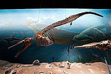 韩国青少年游戏调查 三成每天离不开游戏