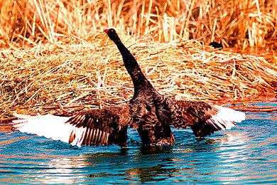 《苍穹浩瀚：奥西里斯重生》公布预告 采用第三人称战斗系统