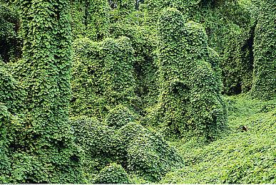 回合制战术游戏《铁血联盟3》将登陆PS＆XBOX平台 